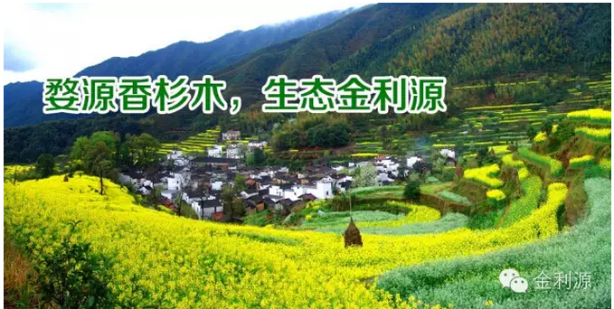 1446353485352468.jpg 1446353485352468.jpg